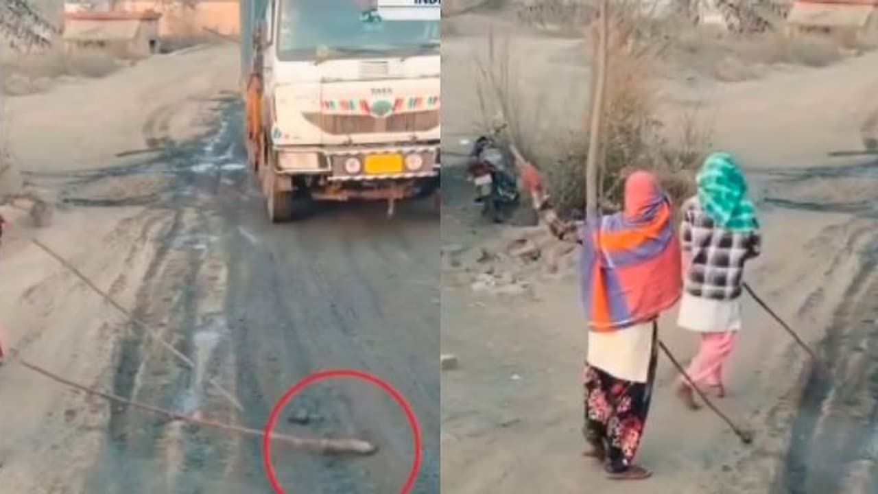 ಕೋಲಿಗೆ ಮೊಳೆ ಬಡಿದು ರಸ್ತೆಯಲ್ಲಿ ನಿಂತು ಟ್ರಕ್ ಚಾಲಕರಿಂದ ಹಣ ವಸೂಲಿ: ವೀಡಿಯೋ ವೈರಲ್ | Women Extorting Truck Drivers By Nail Stick West Bengal Road Extortion ಕೋಲಿಗೆ ಮೊಳೆ ಬಡಿದು ರಸ್ತೆಯಲ್ಲಿ ನಿಂತು ಟ್ರಕ್ ಚಾಲಕರಿಂದ ಹಣ ವಸೂಲಿ: ವೀಡಿಯೋ ವೈರಲ್ | Women Extorting Truck Drivers By Nail Stick West Bengal Road Extortion