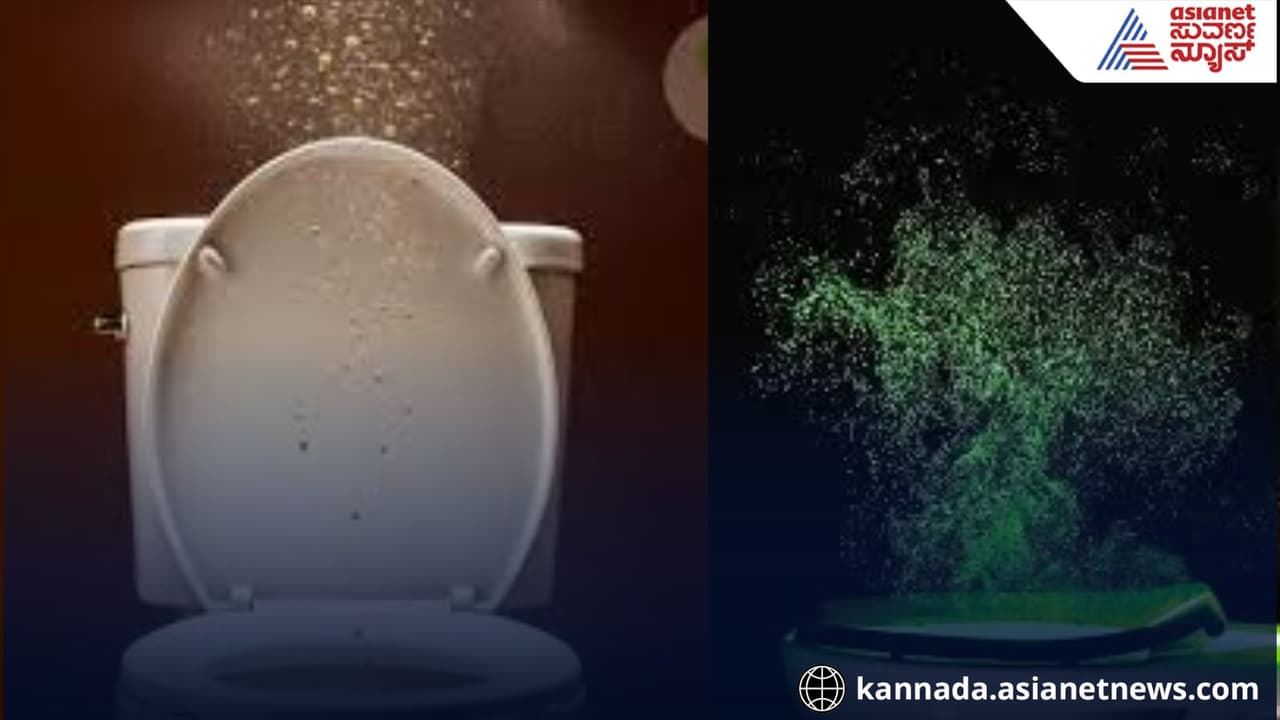 AJIC Report on Bathroom Bacteria ಟಾಯ್ಲೆಟ್ ಫ್ಲಶ್ ಮಾಡಿದಾಗ ಏನಾಗುತ್ತದೆ ಗೊತ್ತಾ? ವಿಜ್ಞಾನಿ ವರದಿ ರಿವೀಲ್! | What Happens After You Flush Ajic Report On Bathroom Bacteria AJIC Report on Bathroom Bacteria ಟಾಯ್ಲೆಟ್ ಫ್ಲಶ್ ಮಾಡಿದಾಗ ಏನಾಗುತ್ತದೆ ಗೊತ್ತಾ? ವಿಜ್ಞಾನಿ ವರದಿ ರಿವೀಲ್! | What Happens After You Flush Ajic Report On Bathroom Bacteria