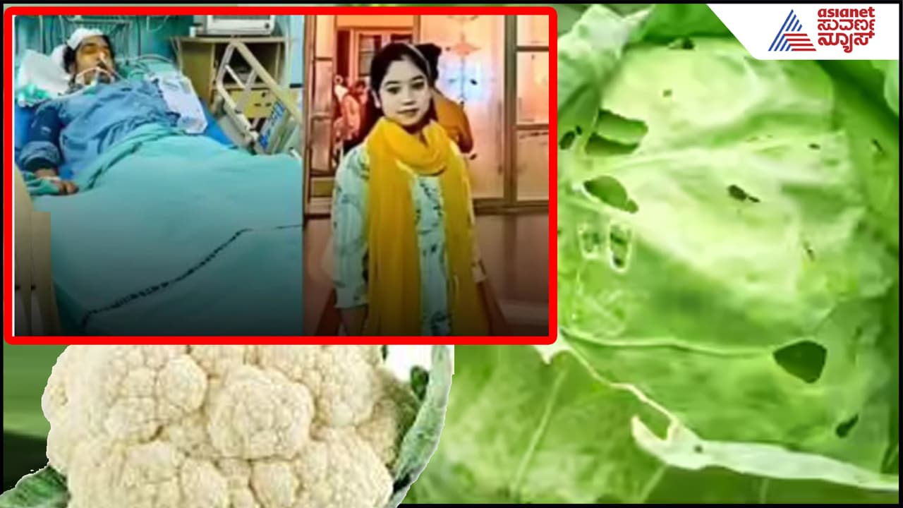 ವೈದ್ಯೆಯಾಗೋ ಕನಸು ಕಂಡಾಕೆಯ ಪ್ರಾಣ ತೆಗೆದ ಎಲೆಕೋಸಿನ ಹುಳು: ಪಿಜ್ಜಾ, ಬರ್ಗರ್ ಪ್ರಿಯರಿಗೆ ಜನರಿಗೆ ವೈದ್ಯರ ಎಚ್ಚರಿಕೆ | A Tragedy Hidden In Cabbage The Story Of Ilmaa Qureshi Death Suc ವೈದ್ಯೆಯಾಗೋ ಕನಸು ಕಂಡಾಕೆಯ ಪ್ರಾಣ ತೆಗೆದ ಎಲೆಕೋಸಿನ ಹುಳು: ಪಿಜ್ಜಾ, ಬರ್ಗರ್ ಪ್ರಿಯರಿಗೆ ಜನರಿಗೆ ವೈದ್ಯರ ಎಚ್ಚರಿಕೆ | A Tragedy Hidden In Cabbage The Story Of Ilmaa Qureshi Death Suc
