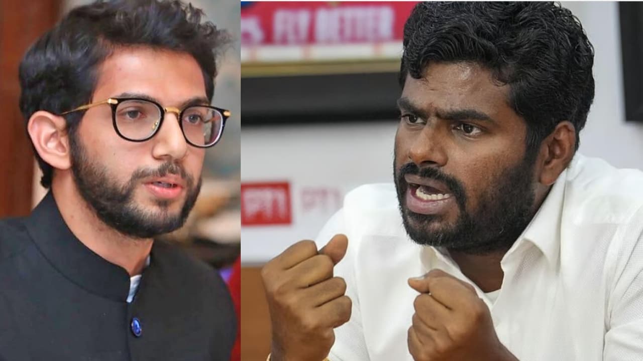 k annamalai ಅಣ್ಣಾಮಲೈಯಲ್ಲಿ ಏನಿದೆ? ಆತ ಝಿರೋ ಎಂದ ಠಾಕ್ರೆಗೆ ನೆಟ್ಟಿಗರ ಕ್ಲಾಸ್, ಪೇಚಿಗೆ ಸಿಲುಕಿದ ಶಿವಸೇನೆ | Netizens Slams Aaditya Thackeray With Facts For Calling K Annamalai As Zero k annamalai ಅಣ್ಣಾಮಲೈಯಲ್ಲಿ ಏನಿದೆ? ಆತ ಝಿರೋ ಎಂದ ಠಾಕ್ರೆಗೆ ನೆಟ್ಟಿಗರ ಕ್ಲಾಸ್, ಪೇಚಿಗೆ ಸಿಲುಕಿದ ಶಿವಸೇನೆ | Netizens Slams Aaditya Thackeray With Facts For Calling K Annamalai As Zero