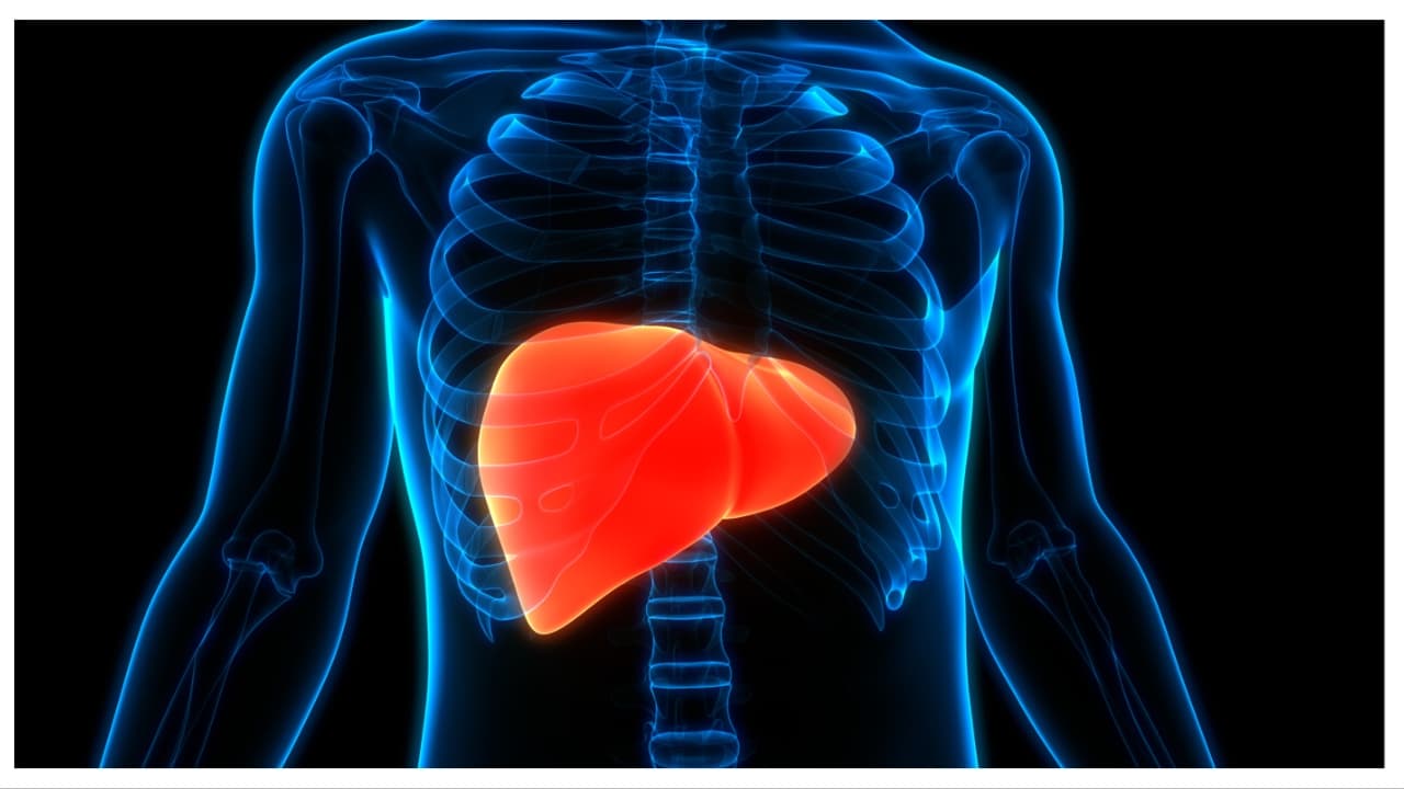 ಲಿವರ್ ಕ್ಯಾನ್ಸರ್ 4ನೇ ಹಂತದಲ್ಲಿದ್ದರೆ ದೇಹದಲ್ಲಿ ಯಾವೆಲ್ಲಾ ಲಕ್ಷಣಗಳು ಕಾಣಿಸುತ್ತವೆ? ಲಿವರ್ ಕ್ಯಾನ್ಸರ್ 4ನೇ ಹಂತದಲ್ಲಿದ್ದರೆ ದೇಹದಲ್ಲಿ ಯಾವೆಲ್ಲಾ ಲಕ್ಷಣಗಳು ಕಾಣಿಸುತ್ತವೆ?