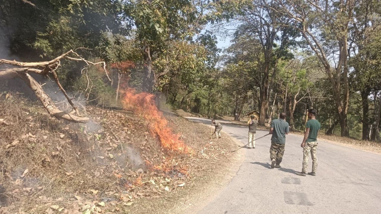 Kodagu: ಕೊಡಗಿನ ಕಾಡು ಕಾಯಲು ‘ಅಗ್ನಿ’ ರಣತಂತ್ರ: ಬೆಂಕಿ ರೇಖೆ ನಿರ್ಮಾಣ ಕಾರ್ಯ ಬಿರುಸು | Forest Department Take Precautionary Measures To Prevent Forest Fires Kodagu Mrq Kodagu: ಕೊಡಗಿನ ಕಾಡು ಕಾಯಲು ‘ಅಗ್ನಿ’ ರಣತಂತ್ರ: ಬೆಂಕಿ ರೇಖೆ ನಿರ್ಮಾಣ ಕಾರ್ಯ ಬಿರುಸು | Forest Department Take Precautionary Measures To Prevent Forest Fires Kodagu Mrq
