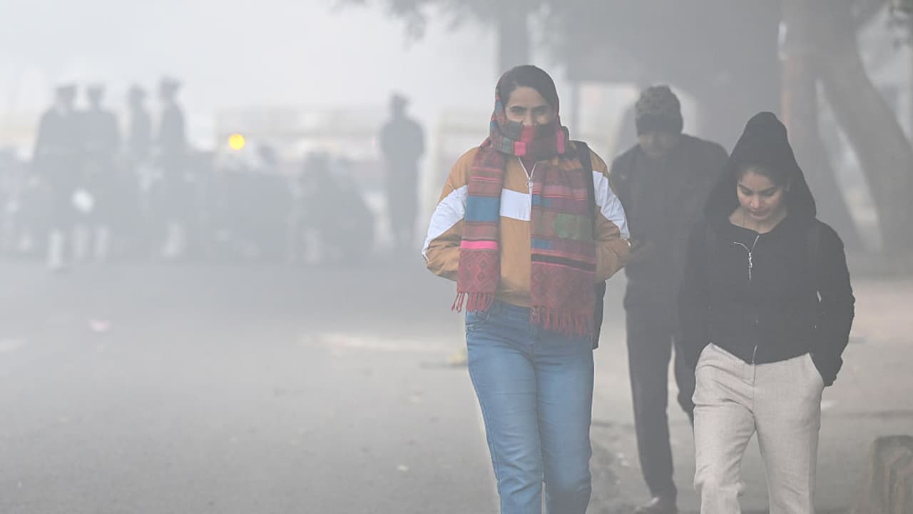 Delhi-NCR Weather on January 24: Cold Deepens After Rain, Fog Likely