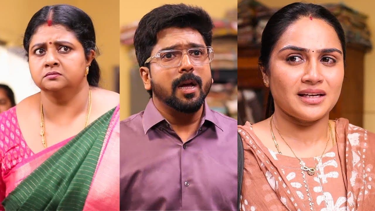 டைவர்ஸ் கேஸில் ரோகிணி தரப்போகும் ட்விஸ்ட்... சிக்கப்போகும் விஜயா - சிறகடிக்க ஆசையில் அதிரடி திருப்பம்