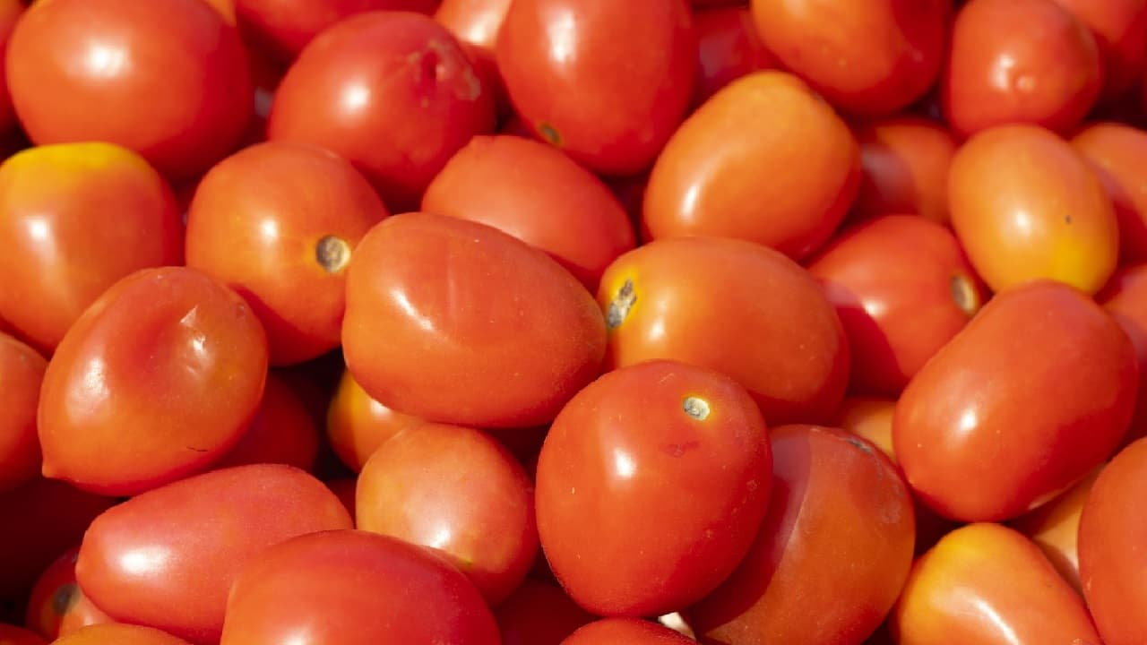 ಈ ರೆಸಿಪಿಗಳನ್ನ ಮಾಡುವಾಗ ಟೊಮೆಟೊ ಹಾಕಬೇಡಿ, ಯಾಕೆ ಗೊತ್ತಾ? ಈ ರೆಸಿಪಿಗಳನ್ನ ಮಾಡುವಾಗ ಟೊಮೆಟೊ ಹಾಕಬೇಡಿ, ಯಾಕೆ ಗೊತ್ತಾ?