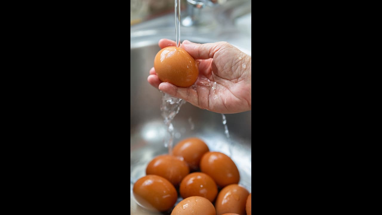Eggs : முட்டைகளை 30 நாட்கள் வரை ஃபிரெஷ்ஷாக வைக்க சூப்பர் டிப்ஸ்!