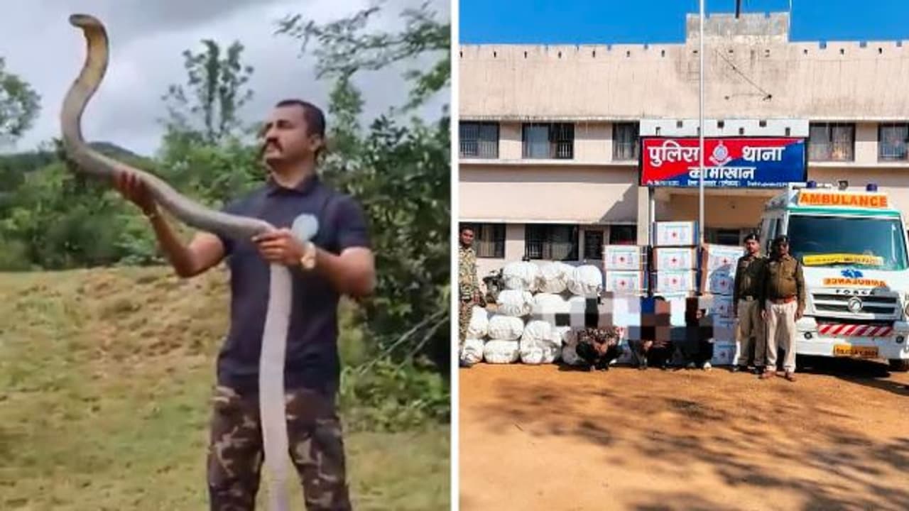 ಆಂಬುಲೆನ್ಸ್ನಲ್ಲಿ 2.6 ಕೋಟಿ ಮೌಲ್ಯದ ಗಾಂಜಾ ಸಾಗಣೆ: ಹಾವು ಹಿಡಿಯುವುದಕ್ಕೆ ಫೇಮಸ್ ಆಗಿದ್ದ ಯುಟ್ಯೂಬರ್ ಅಂದರ್ | Ganja Smuggling In Ambulance Youtuber Sarpmitra Akash Jadhav Arrested ಆಂಬುಲೆನ್ಸ್ನಲ್ಲಿ 2.6 ಕೋಟಿ ಮೌಲ್ಯದ ಗಾಂಜಾ ಸಾಗಣೆ: ಹಾವು ಹಿಡಿಯುವುದಕ್ಕೆ ಫೇಮಸ್ ಆಗಿದ್ದ ಯುಟ್ಯೂಬರ್ ಅಂದರ್ | Ganja Smuggling In Ambulance Youtuber Sarpmitra Akash Jadhav Arrested