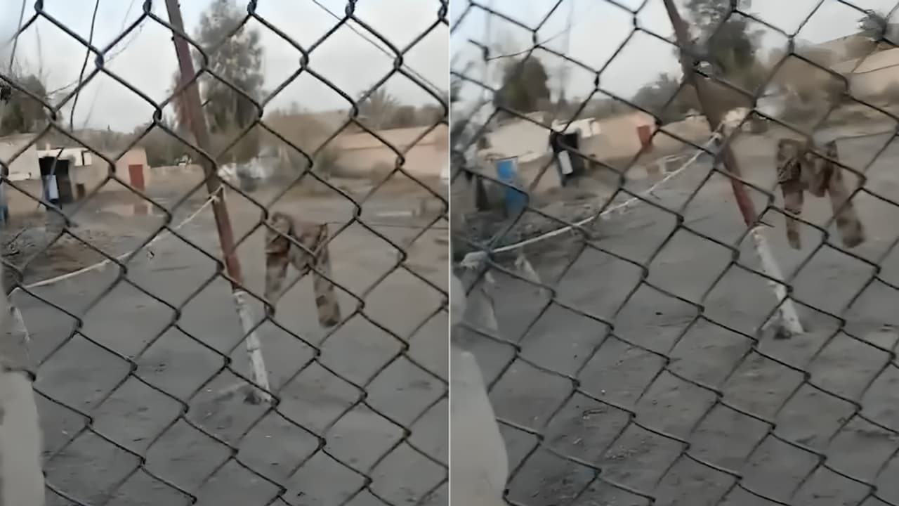 From Balochistan to 1971: Viral Video of 'Left-Behind Pants' Fuels Mockery of Pakistan Army