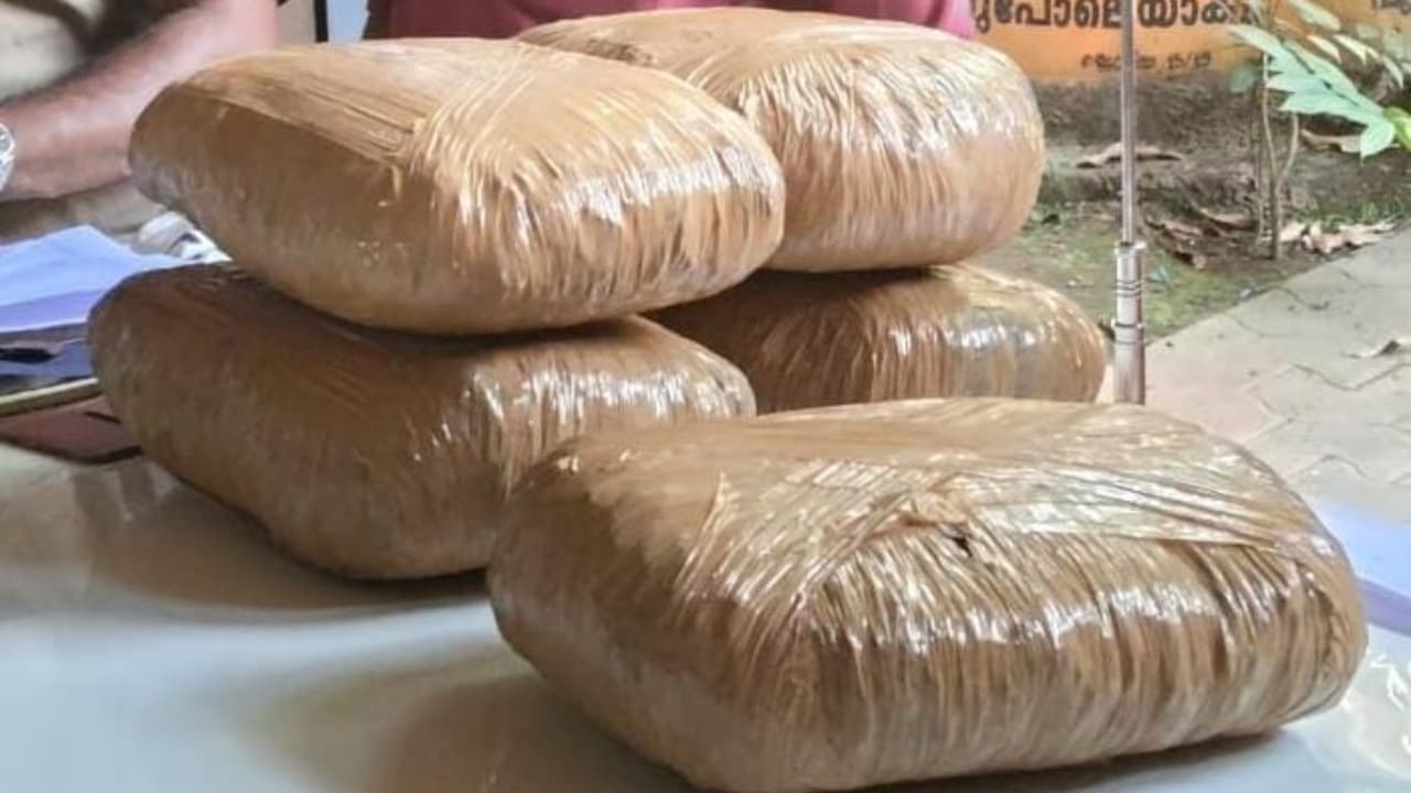 ರಾಜಧಾನಿಯಲ್ಲಿ ನಿಲ್ಲದ ಡ್ರಗ್ಸ್ ದಂಧೆ : ಪೊಲೀಸರಿಂದ ₹ 24.5 ಕೋಟಿಯ ಗಾಂಜಾ ಜಪ್ತಿ | Unabated Drug Racket In Bengaluru Police Seize Rs 24 5 Crore Worth Of Ganja ರಾಜಧಾನಿಯಲ್ಲಿ ನಿಲ್ಲದ ಡ್ರಗ್ಸ್ ದಂಧೆ : ಪೊಲೀಸರಿಂದ ₹ 24.5 ಕೋಟಿಯ ಗಾಂಜಾ ಜಪ್ತಿ | Unabated Drug Racket In Bengaluru Police Seize Rs 24 5 Crore Worth Of Ganja