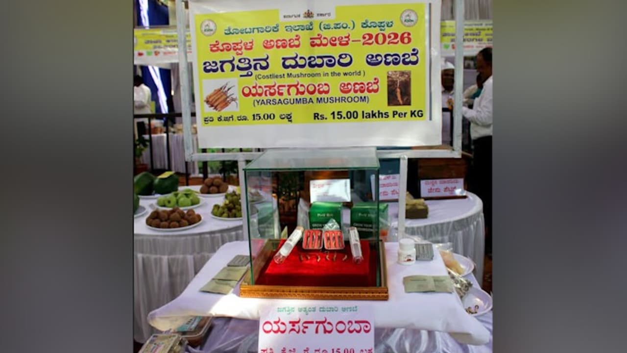 World’s Most Expensive Mushroom Priced at ₹15 Lakh Per Kg Showcased in Karnataka