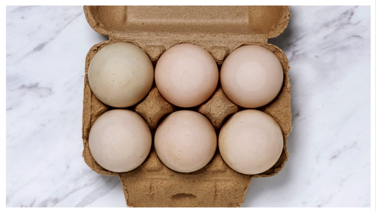 ನಮ್ಮ ಬೆಂಗಳೂರಿನಲ್ಲಿ ಚೀಪ್ ಆಗಿ ಸಿಗೋ ಮೊಟ್ಟೆ… ವಿದೇಶಗಳಲ್ಲಿ ಲಕ್ಸುರಿ ಐಟಂ, ಈ ಬೆಲೆ ಕೇಳಿದ್ರೆ ನೀವು ನಂಬೋದಿಲ್ಲ ನಮ್ಮ ಬೆಂಗಳೂರಿನಲ್ಲಿ ಚೀಪ್ ಆಗಿ ಸಿಗೋ ಮೊಟ್ಟೆ… ವಿದೇಶಗಳಲ್ಲಿ ಲಕ್ಸುರಿ ಐಟಂ, ಈ ಬೆಲೆ ಕೇಳಿದ್ರೆ ನೀವು ನಂಬೋದಿಲ್ಲ