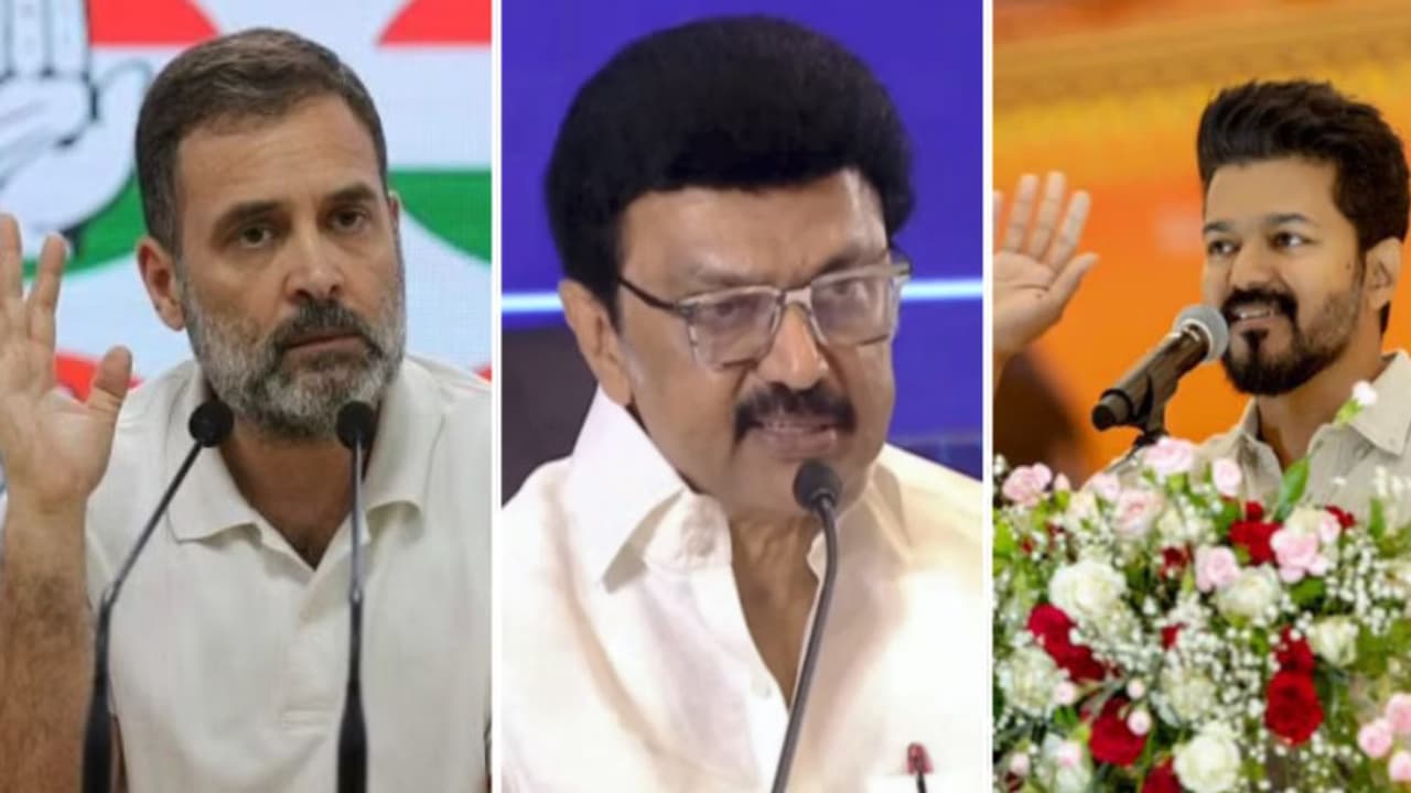 Stalin Fit From Modi’s Khichdi to Stalin’s Cycling to Rahul Gandhi's Aikido: Know ...
