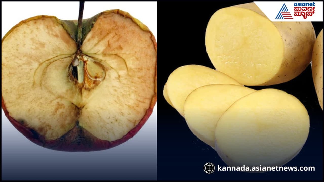 ಆಲೂ ಸೇಬು ಕಪ್ಪಗಾಗೋ ಟೆನ್ಷನ್ ಬಿಟ್ಬಿಡಿ, ಇಂದಿನಿಂದ್ಲೇ ಈ ಸಿಂಪಲ್ ಟಿಪ್ಸ್ ಫಾಲೋ ಮಾಡಿ | How To Stop Apple And Potato Turning Brown Naturally ಆಲೂ ಸೇಬು ಕಪ್ಪಗಾಗೋ ಟೆನ್ಷನ್ ಬಿಟ್ಬಿಡಿ, ಇಂದಿನಿಂದ್ಲೇ ಈ ಸಿಂಪಲ್ ಟಿಪ್ಸ್ ಫಾಲೋ ಮಾಡಿ | How To Stop Apple And Potato Turning Brown Naturally