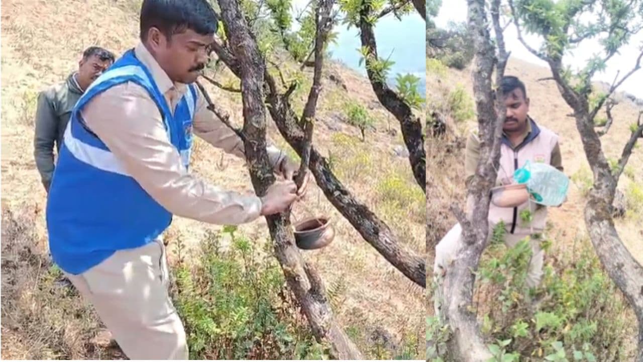 ಮುಳ್ಳಯ್ಯನಗಿರಿ ಮರಗಳಲ್ಲಿ ನೇತಾಡುತ್ತಿವೆ ಮಡಿಕೆ; ಗುಡ್ಡದಲ್ಲಿ ಕಲ್ಲಿನ ಗೋಪುರ ಕಟ್ಟುವ ಬದಲು, ಮರಗಳಿಗೆ ಮಡಿಕೆ ಕಟ್ಟಿ! | Chikkamagaluru Tourism Staff Hang Water Pots For Birds Mullayanagiri Summer Sat ಮುಳ್ಳಯ್ಯನಗಿರಿ ಮರಗಳಲ್ಲಿ ನೇತಾಡುತ್ತಿವೆ ಮಡಿಕೆ; ಗುಡ್ಡದಲ್ಲಿ ಕಲ್ಲಿನ ಗೋಪುರ ಕಟ್ಟುವ ಬದಲು, ಮರಗಳಿಗೆ ಮಡಿಕೆ ಕಟ್ಟಿ! | Chikkamagaluru Tourism Staff Hang Water Pots For Birds Mullayanagiri Summer Sat