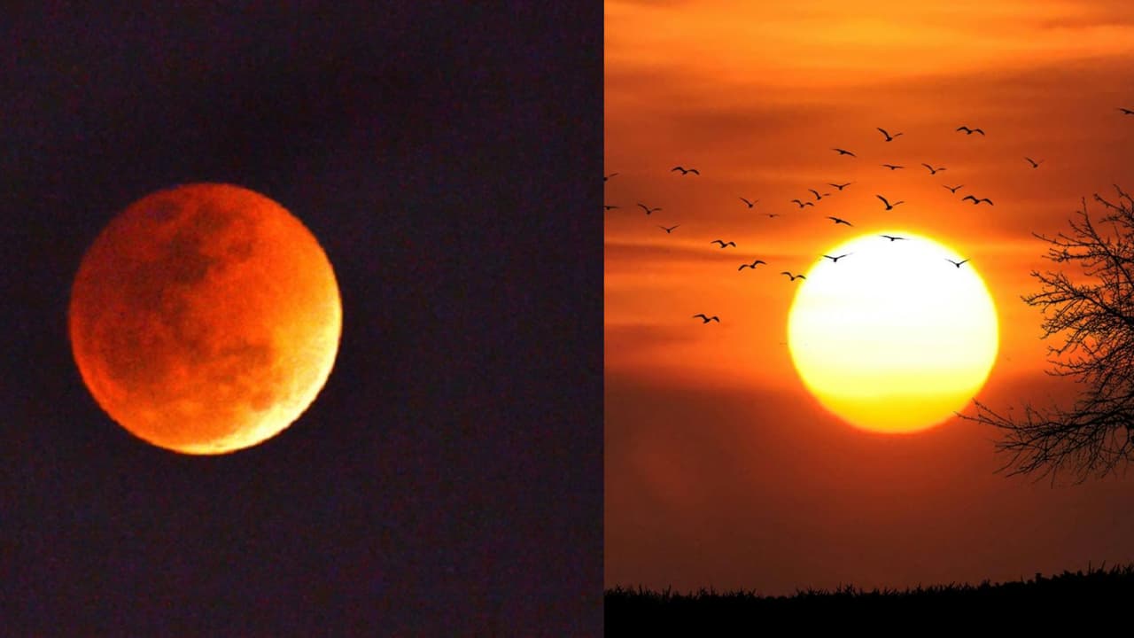 Blood Moon ಇಂದು ಏಕಕಾಲಕ್ಕೆ ಸೂರ್ಯ ಚಂದ್ರ ಗೋಚರ, ಖಗ್ರಾಸ ಗ್ರಹಣದ ಅಪರೂಪದ ವಿದ್ಯಮಾನ Blood Moon ಇಂದು ಏಕಕಾಲಕ್ಕೆ ಸೂರ್ಯ ಚಂದ್ರ ಗೋಚರ, ಖಗ್ರಾಸ ಗ್ರಹಣದ ಅಪರೂಪದ ವಿದ್ಯಮಾನ