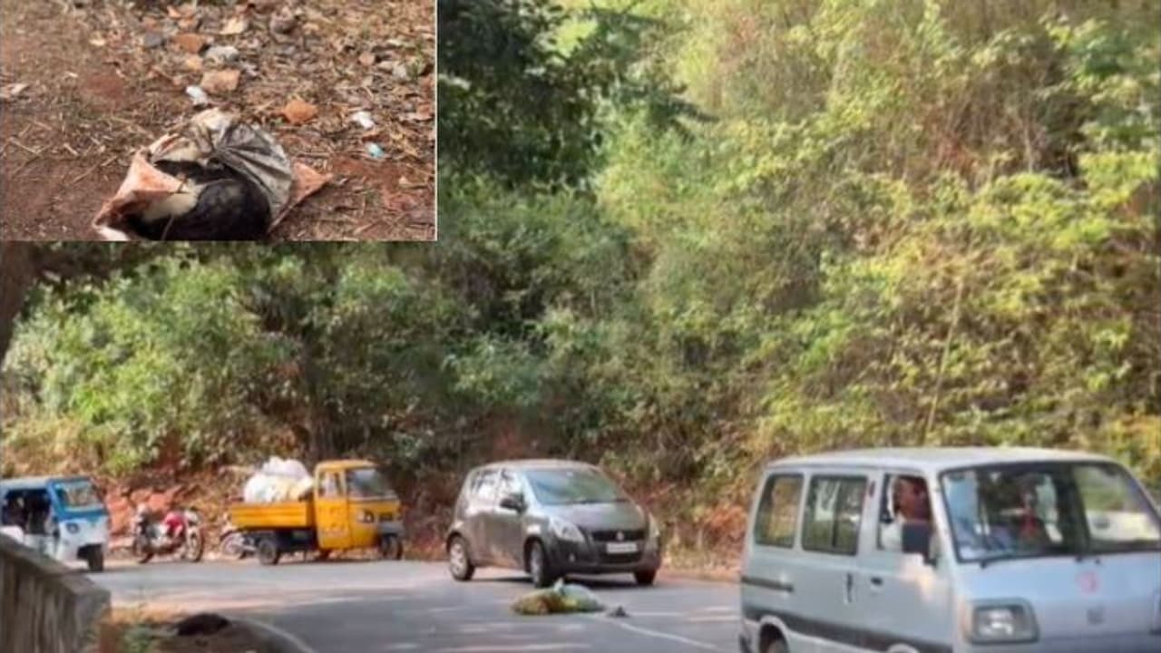 ಚಿಕ್ಕಮಗಳೂರು: ಚೀಲದಲ್ಲಿ ಗೋವಿನ ಕಳೇಬರ ತುಂಬಿ ರಸ್ತೆಗೆಸೆದು ಹೋದ ದುಷ್ಕರ್ಮಿಗಳು : ಪ್ರತಿಭಟಿಸಿದವರ ವಿರುದ್ಧ FIR ಚಿಕ್ಕಮಗಳೂರು: ಚೀಲದಲ್ಲಿ ಗೋವಿನ ಕಳೇಬರ ತುಂಬಿ ರಸ್ತೆಗೆಸೆದು ಹೋದ ದುಷ್ಕರ್ಮಿಗಳು : ಪ್ರತಿಭಟಿಸಿದವರ ವಿರುದ್ಧ FIR