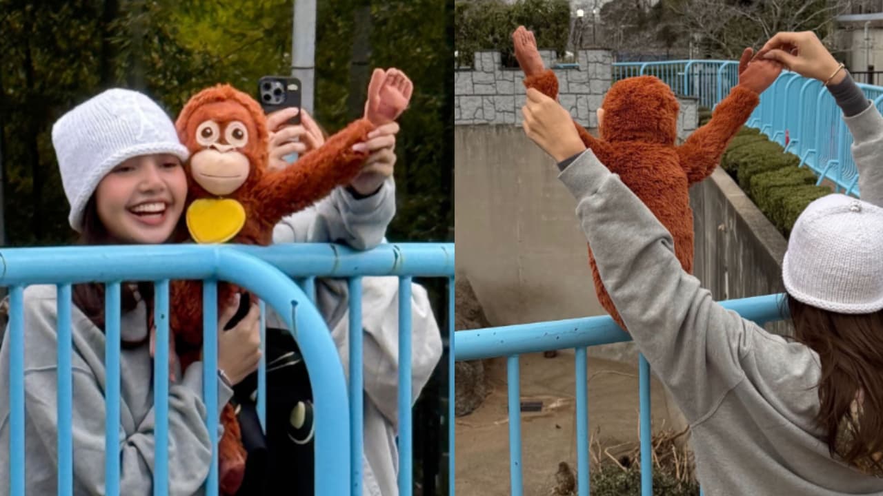 Adorable Moment: Monkey Punch Gets Special Visit From BLACKPINK Star Lisa in Japan (WATCH)