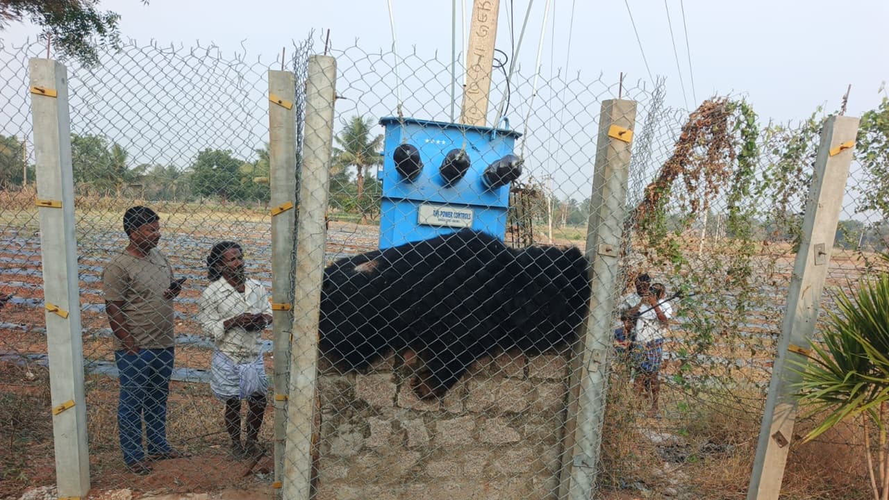 Koppal bear electrocuted: ಆಹಾರ ಅರಸಿ ಬಂದ ಕರಡಿ ವಿದ್ಯುತ್ ತಂತಿ ಸ್ಪರ್ಶಿಸಿ ದಾರುಣ ಸಾವು | Koppal News Bear Died By Electric Shock While Searching Food Koppal bear electrocuted: ಆಹಾರ ಅರಸಿ ಬಂದ ಕರಡಿ ವಿದ್ಯುತ್ ತಂತಿ ಸ್ಪರ್ಶಿಸಿ ದಾರುಣ ಸಾವು | Koppal News Bear Died By Electric Shock While Searching Food