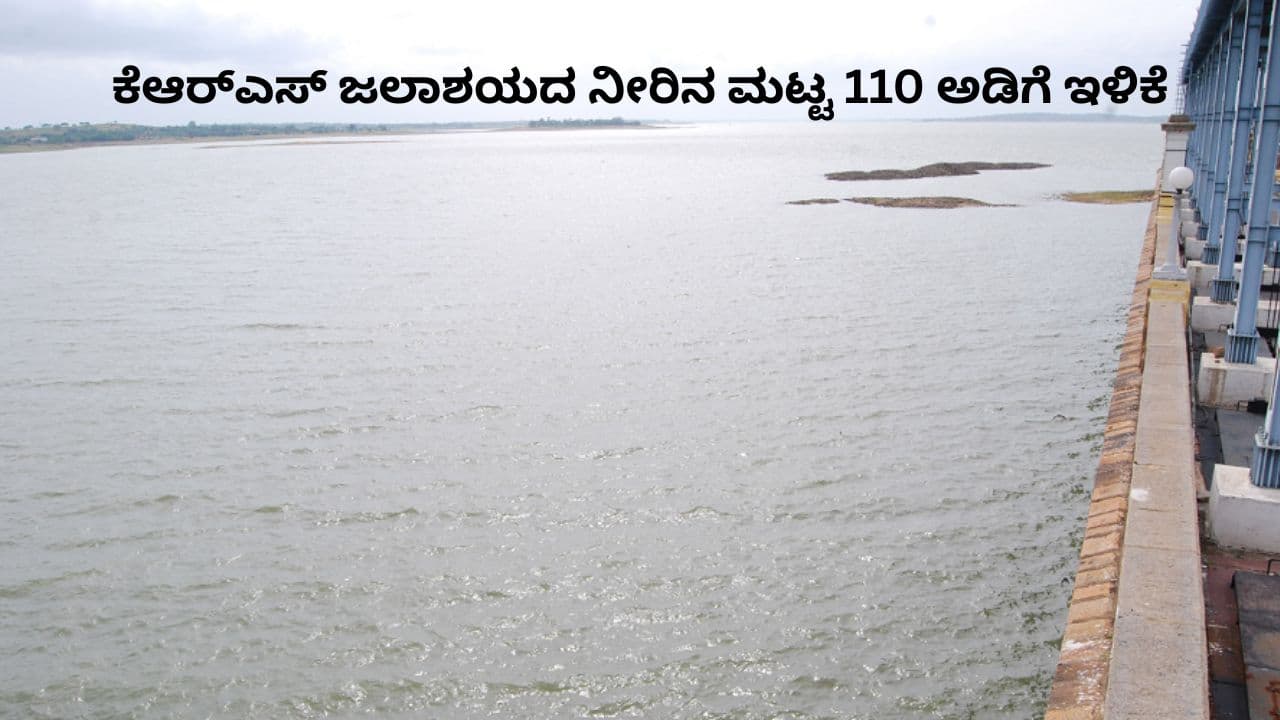 ಕೆಆರ್ಎಸ್ ಜಲಾಶಯದ ನೀರಿನ ಮಟ್ಟ 110 ಅಡಿಗೆ ಕುಸಿತ: ಬೆಂಗಳೂರು-ಮೈಸೂರಿಗೆ ಕುಡಿಯುವ ನೀರಿನ ಆತಂಕ ಇದೆಯೇ? ಕೆಆರ್ಎಸ್ ಜಲಾಶಯದ ನೀರಿನ ಮಟ್ಟ 110 ಅಡಿಗೆ ಕುಸಿತ: ಬೆಂಗಳೂರು-ಮೈಸೂರಿಗೆ ಕುಡಿಯುವ ನೀರಿನ ಆತಂಕ ಇದೆಯೇ?