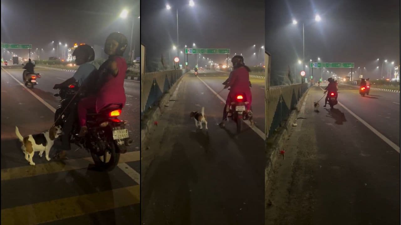 ಬೈಕ್ಗೆ ನಾಯಿಮರಿ ಕಟ್ಟಿ ಎಳೆದೊಯ್ದ ದಂಪತಿ; ಪೊಲೀಸರೇ ಇಂಥವರನ್ನ ಬಂಧಿಸಿ ಜೈಲಿಟ್ಟಿ ಎಂದ ನೆಟ್ಟಿಗರು! | Kolkata Couple Drags Dog Tied To Scooter Video Viral Sparks Outrage Sat ಬೈಕ್ಗೆ ನಾಯಿಮರಿ ಕಟ್ಟಿ ಎಳೆದೊಯ್ದ ದಂಪತಿ; ಪೊಲೀಸರೇ ಇಂಥವರನ್ನ ಬಂಧಿಸಿ ಜೈಲಿಟ್ಟಿ ಎಂದ ನೆಟ್ಟಿಗರು! | Kolkata Couple Drags Dog Tied To Scooter Video Viral Sparks Outrage Sat
