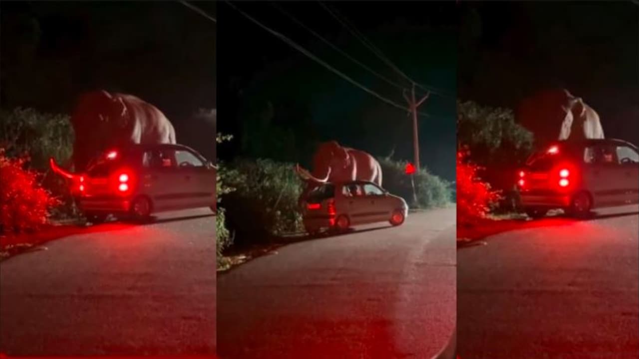 Wild elephant attack in Munnar: ಕೇರಳದ ಮುನ್ನಾರ್ನಲ್ಲಿ ಕಾರಿನ ಮೇಲೆ ಪಡಯಪ್ಪನ ದಾಳಿ: ಚಾಲಕ ಜಸ್ಟ್ ಮಿಸ್ | Padayappa Attacks Car In Munnar Kerala Video Viral Wild elephant attack in Munnar: ಕೇರಳದ ಮುನ್ನಾರ್ನಲ್ಲಿ ಕಾರಿನ ಮೇಲೆ ಪಡಯಪ್ಪನ ದಾಳಿ: ಚಾಲಕ ಜಸ್ಟ್ ಮಿಸ್ | Padayappa Attacks Car In Munnar Kerala Video Viral