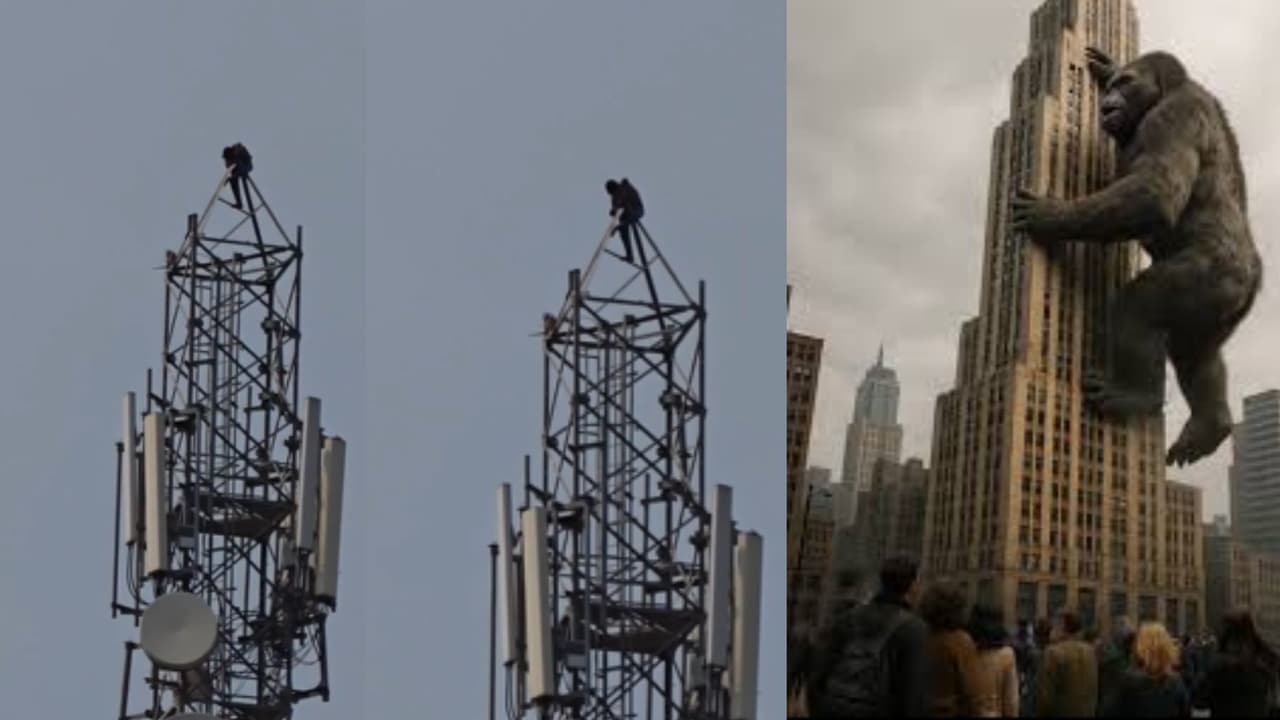 ‘ಎಣ್ಣೆ ಕೊಡಿಸ್ತಿನಂದ್ರೆ ಕೆಳಗಿಳ್ತೀನಿ..’ ಕುಡಿಯಲು ಹಣವಿಲ್ಲದ್ದಕ್ಕೆ ಮೊಬೈಲ್ ಟವರ್ ಏರಿ ಕುಳಿತ ಕುಡುಕ! | High Drama In Vijayapura Drunk Man Climbs Mobile Tower Demanding Money For Liquor ‘ಎಣ್ಣೆ ಕೊಡಿಸ್ತಿನಂದ್ರೆ ಕೆಳಗಿಳ್ತೀನಿ..’ ಕುಡಿಯಲು ಹಣವಿಲ್ಲದ್ದಕ್ಕೆ ಮೊಬೈಲ್ ಟವರ್ ಏರಿ ಕುಳಿತ ಕುಡುಕ! | High Drama In Vijayapura Drunk Man Climbs Mobile Tower Demanding Money For Liquor