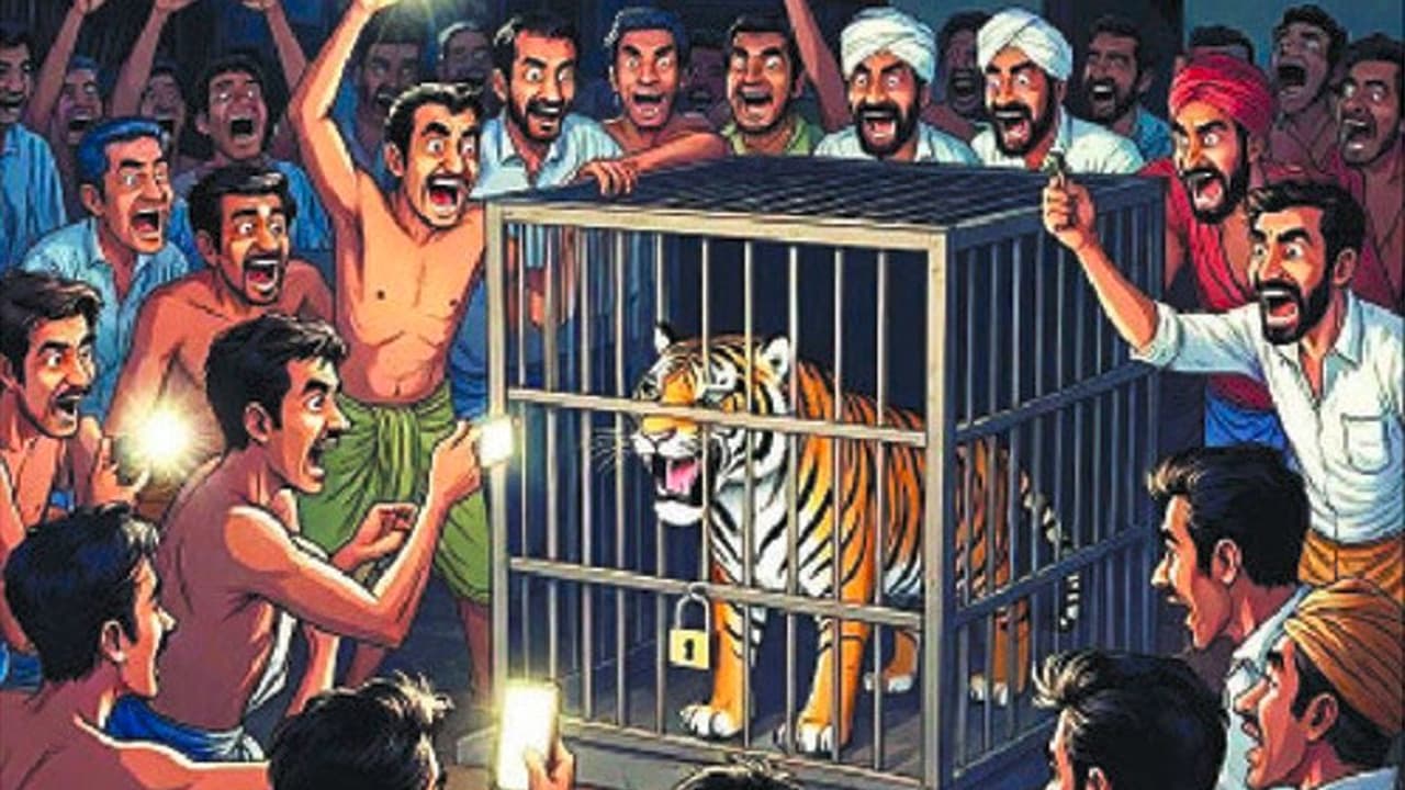 Bandipur tiger capture incident: ಬೋನಿಗೆ ಬಿದ್ದ ಹೆಣ್ಣು ಹುಲಿ ಜೊತೆ ಸೆಲ್ಫಿಗೆ ಮುಗಿಬಿದ್ದ ಗಂಡುಗಲಿಗಳು | Boys Obsessed With Taking Selfies With Trapped Female Tiger Bandipur tiger capture incident: ಬೋನಿಗೆ ಬಿದ್ದ ಹೆಣ್ಣು ಹುಲಿ ಜೊತೆ ಸೆಲ್ಫಿಗೆ ಮುಗಿಬಿದ್ದ ಗಂಡುಗಲಿಗಳು | Boys Obsessed With Taking Selfies With Trapped Female Tiger