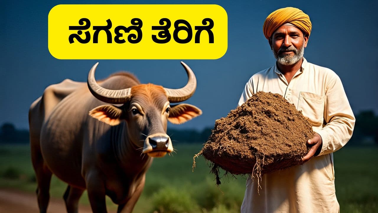 ದಿವಾಳಿ ಪಾಕಿಸ್ತಾನದಲ್ಲಿ ಎಮ್ಮೆ ಸಾಕಿದರಿಗೆ ಸೆಗಣಿ ತೆರಿಗೆ ವಸೂಲಿ; ರೈತರು ದಿನಕ್ಕೆ ಎಷ್ಟು ಹಣ ನೀಡಬೇಕು? ದಿವಾಳಿ ಪಾಕಿಸ್ತಾನದಲ್ಲಿ ಎಮ್ಮೆ ಸಾಕಿದರಿಗೆ ಸೆಗಣಿ ತೆರಿಗೆ ವಸೂಲಿ; ರೈತರು ದಿನಕ್ಕೆ ಎಷ್ಟು ಹಣ ನೀಡಬೇಕು?