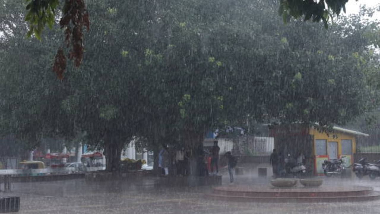 Kolkata Weather LATEST Update: Rain Brings Relief to South Bengal, Thunderstorm Warning Remains in Place