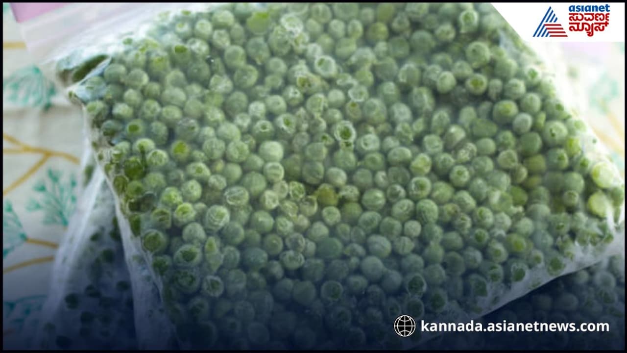 frozen pea business : ರೈತರಿಗೆ ಲಾಭ ತಂದ್ಕೊಂಡೋ ಬ್ಯುಸಿನೆಸ್ ಇದು, ಕಡಿಮೆ ಬಂಡವಾಳ ಹೆಚ್ಚಿನ ಲಾಭ | How Much Do Farmers Earn In The Frozen Pea Business frozen pea business : ರೈತರಿಗೆ ಲಾಭ ತಂದ್ಕೊಂಡೋ ಬ್ಯುಸಿನೆಸ್ ಇದು, ಕಡಿಮೆ ಬಂಡವಾಳ ಹೆಚ್ಚಿನ ಲಾಭ | How Much Do Farmers Earn In The Frozen Pea Business