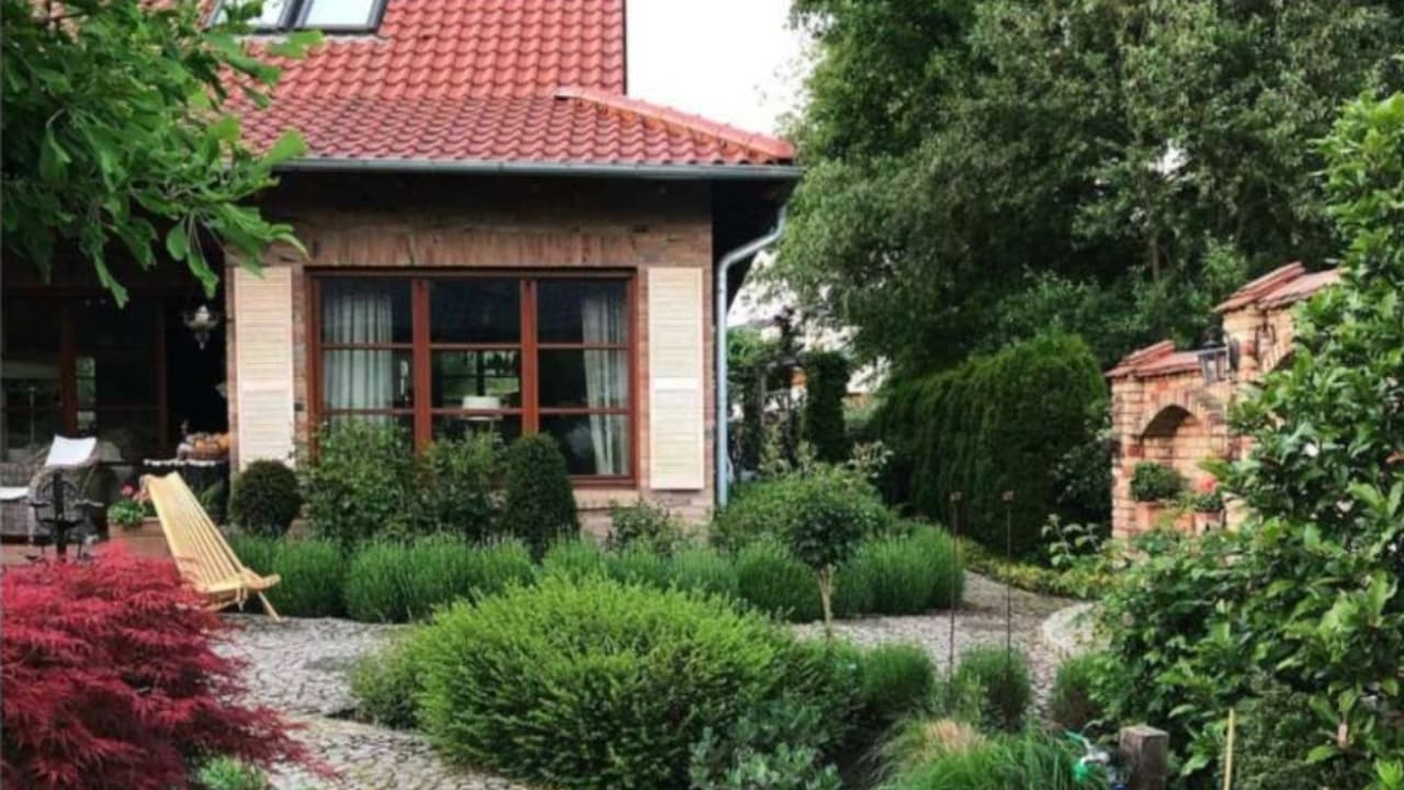 Vastu Tips: வீட்டின் நிம்மதியை குலைக்கும் 'அந்த' 3 மரங்கள்.. தெரியாமல் கூட வளர்த்துடாதீங்க!