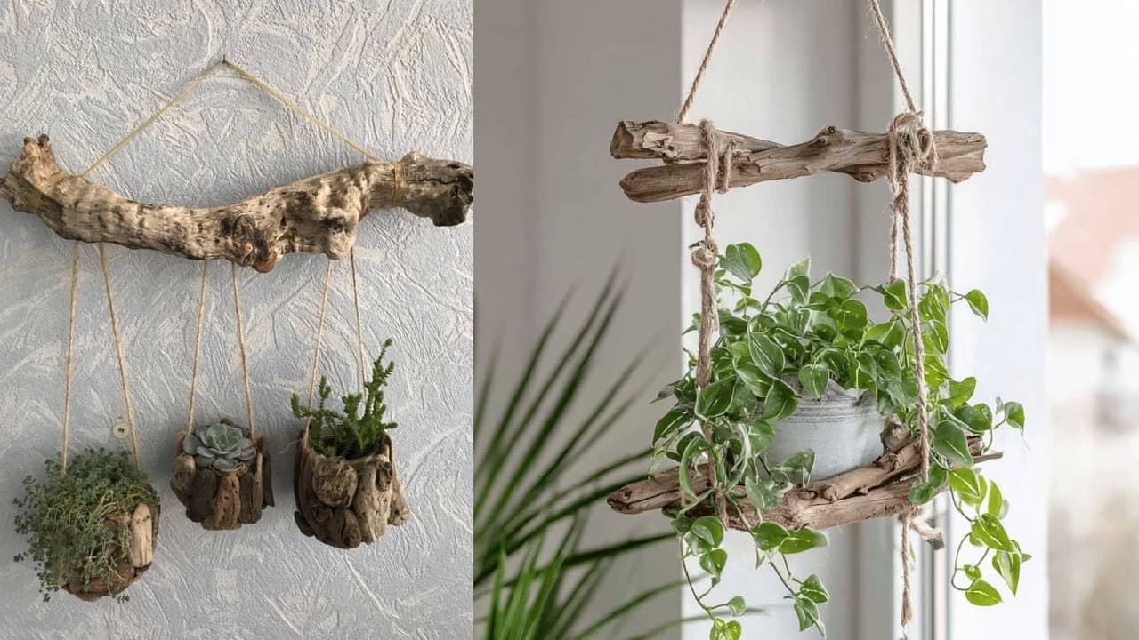 Natural Planter: ಒಣಗಿದ ಮರದ ತುಂಡುಗಳಿಂದ ಹೂಕುಂಡ ತಯಾರಿಸುವುದು ಹೇಗೆ? ನೈಸರ್ಗಿಕ ಮನೆ ಅಲಂಕಾರದ ಸುಲಭ ಸಲಹೆಗಳು | Diy Dry Wood Planter Ideas Natural Home Decor And Making Hand Garden Ideas Sat Natural Planter: ಒಣಗಿದ ಮರದ ತುಂಡುಗಳಿಂದ ಹೂಕುಂಡ ತಯಾರಿಸುವುದು ಹೇಗೆ? ನೈಸರ್ಗಿಕ ಮನೆ ಅಲಂಕಾರದ ಸುಲಭ ಸಲಹೆಗಳು | Diy Dry Wood Planter Ideas Natural Home Decor And Making Hand Garden Ideas Sat