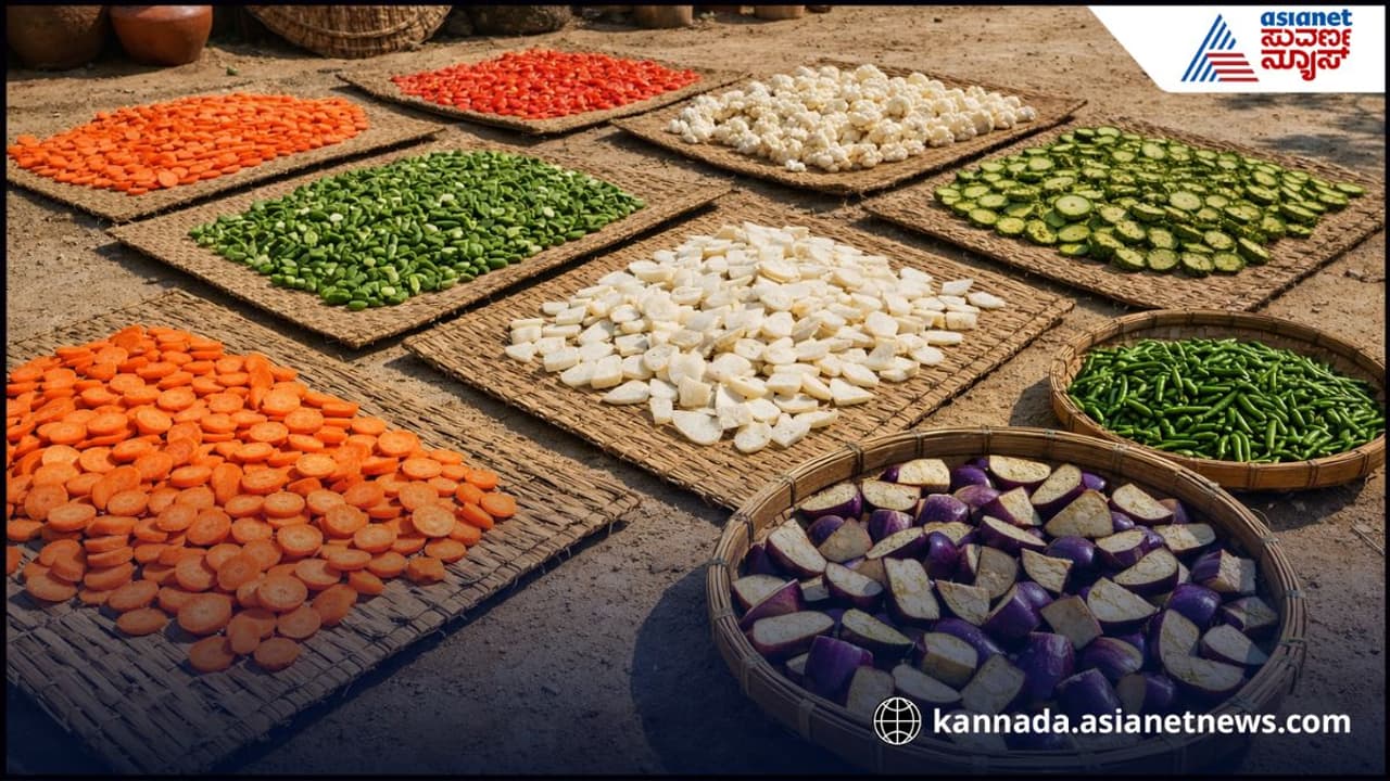 Vegetables sun drying technique : ದಿನದಲ್ಲಿಯೇ ಹಾಳಾಗೋ ತರಕಾರಿ ವಾರಗಟ್ಟಲೆ ...