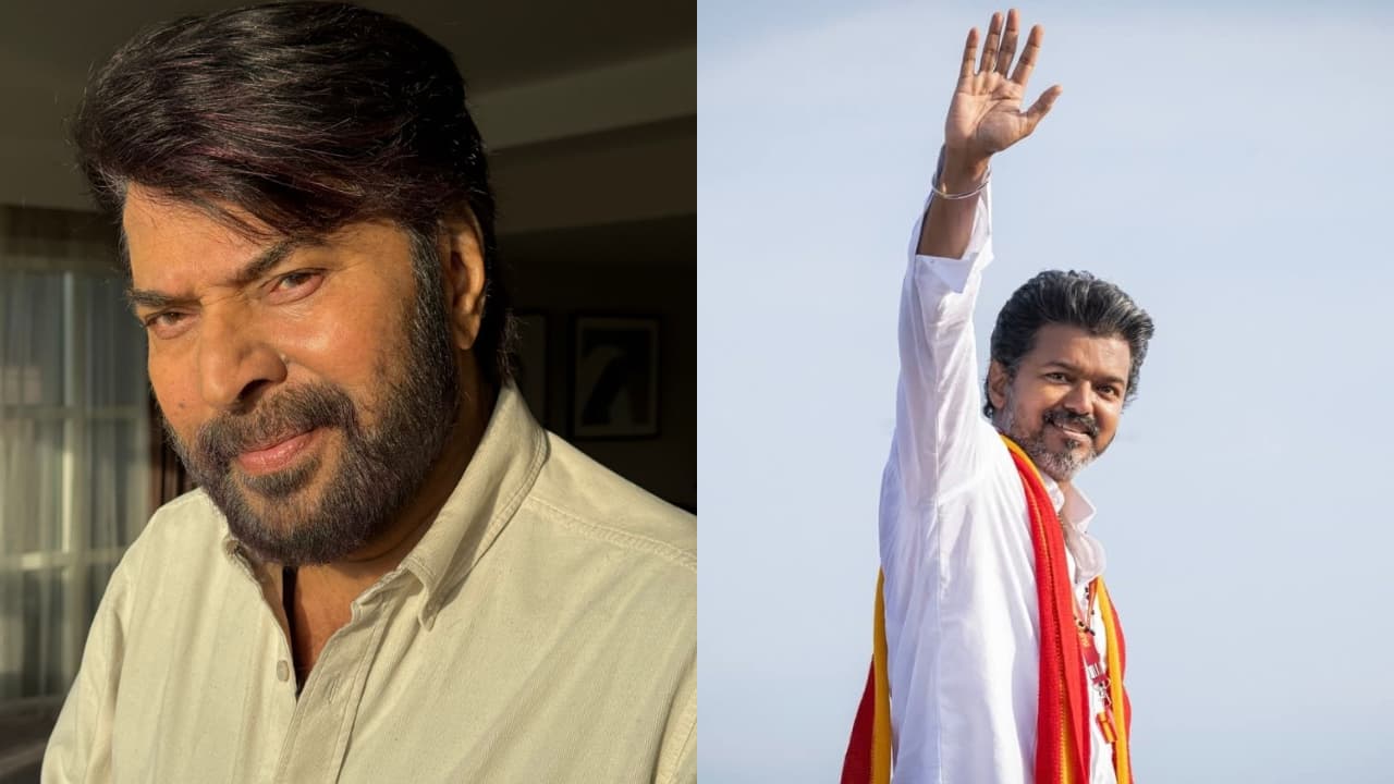 'വിജയ്‌യുടെ രാഷ്ട്രീയത്തെ എങ്ങനെ നോക്കി കാണുന്നു?'; അപ്രതീക്ഷിത മറുപടിയുമായി മമ്മൂട്ടി - Asianet News Malayalam