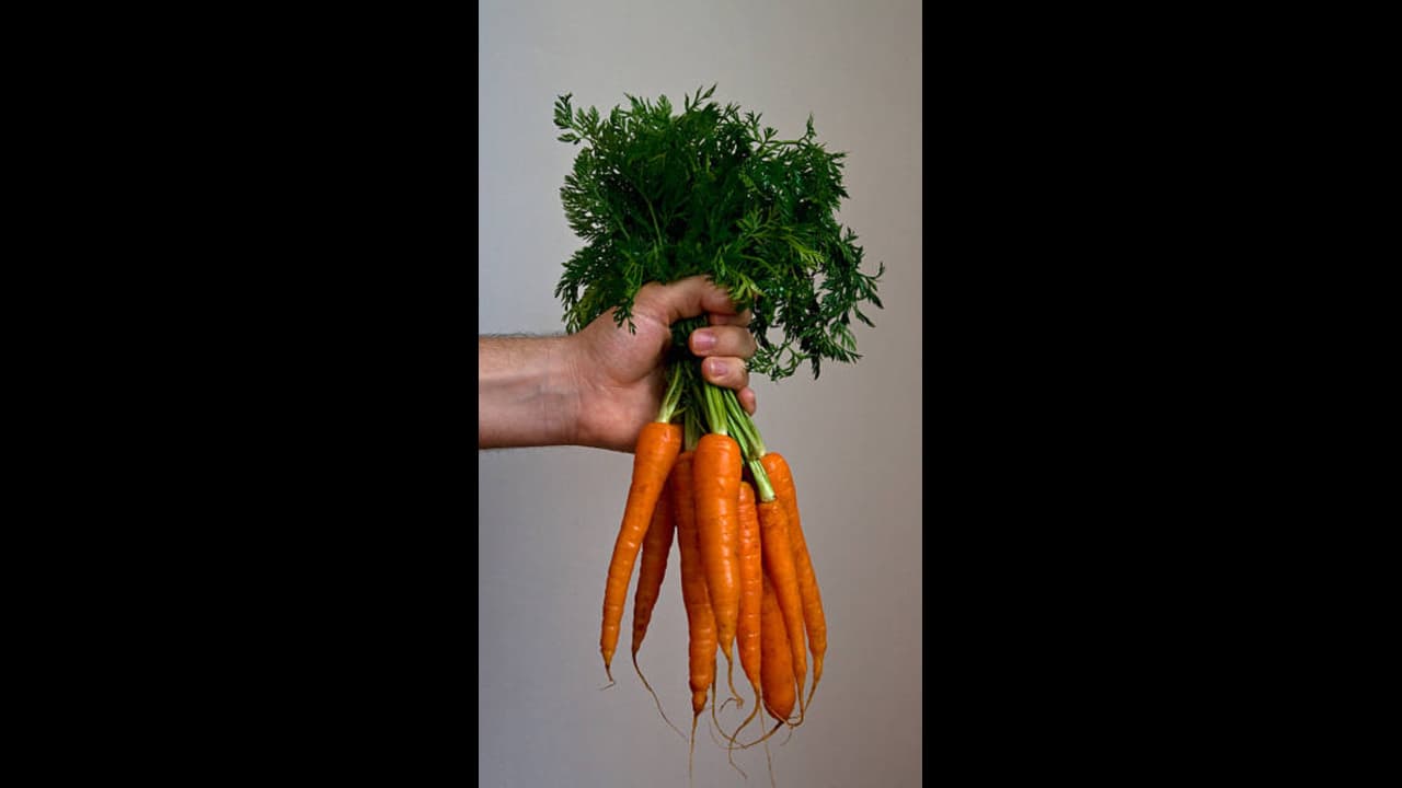 https://static.asianetnews.com/images/w-1280,h-720,format-jpg,imgid-01kq6r1bnk66h47r5v2545b5hs,imgname-carrot--1--1777269255859.jpg