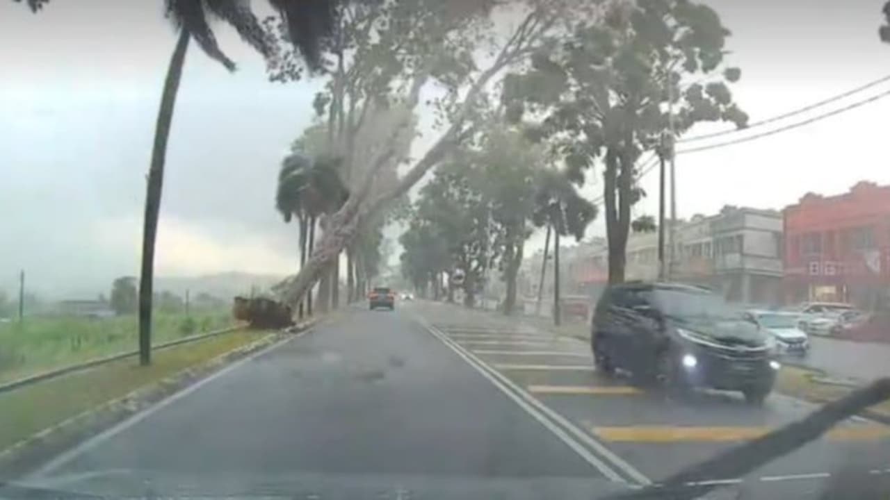 Delhi-NCR braces for thunderstorms, hail; IMD issues Red, Orange alerts | Quick Digest