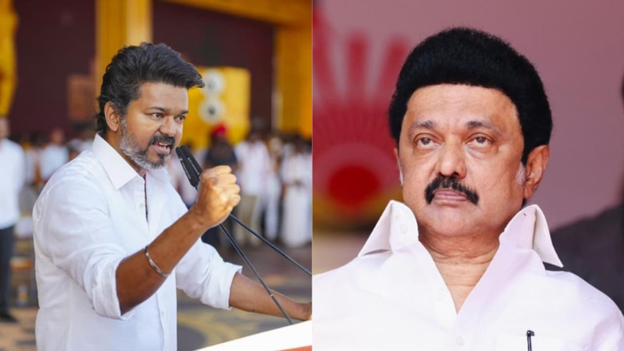 തമിഴ്നാട് രാഷ്ട്രീയത്തിൽ പിരിമുറുക്കം; ജയിക്കുന്ന സ്ഥാനാർത്ഥികളെ റിസോർട്ടിലേക്ക് മാറ്റാൻ വിജയ് നിർദേശം നൽകിയതായി റിപ്പോർട്ടുകൾ - Asianet News Malayalam