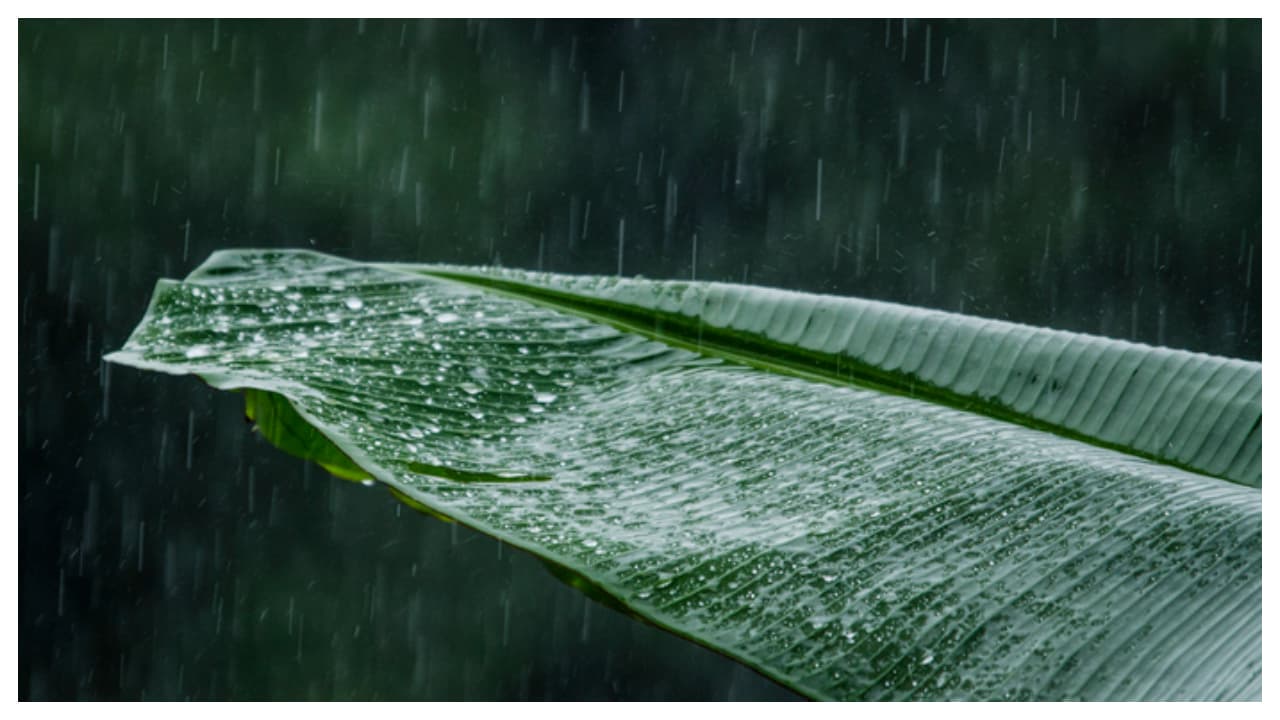 Malayalam News Live: എക്സിറ്റ് പോൾ ഫലങ്ങൾ: ആവേശത്തിലായി യു ഡി എഫ് ക്യാമ്പ്; ഭരണത്തുടർച്ച പ്രവചിക്കാത്തതിൽ ഇടതുപക്ഷത്തിന് ആശങ്ക - Asianet News Malayalam