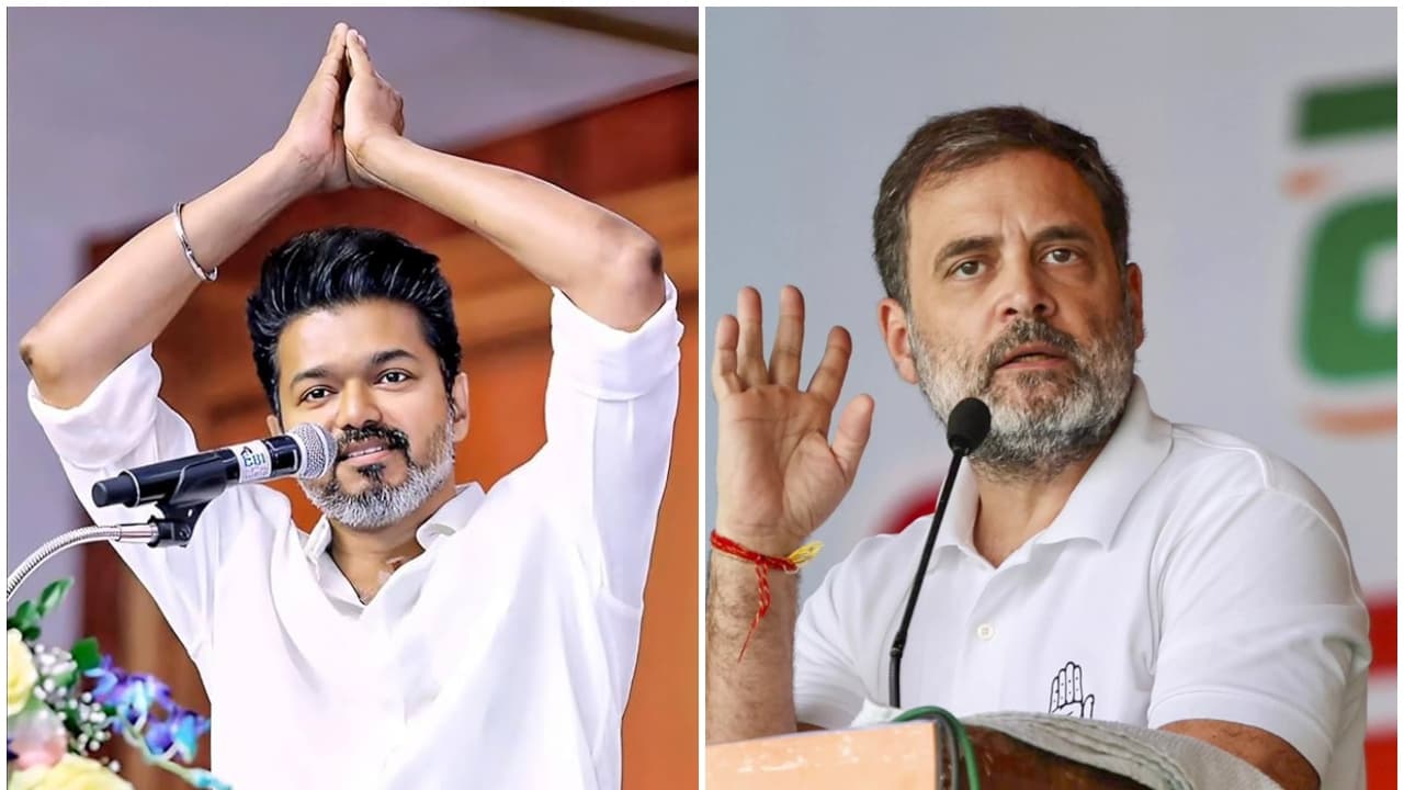 വിജയ് കോൺഗ്രസ് പിന്തുണയ്ക്കുമെന്ന കോൺഗ്രസ്
