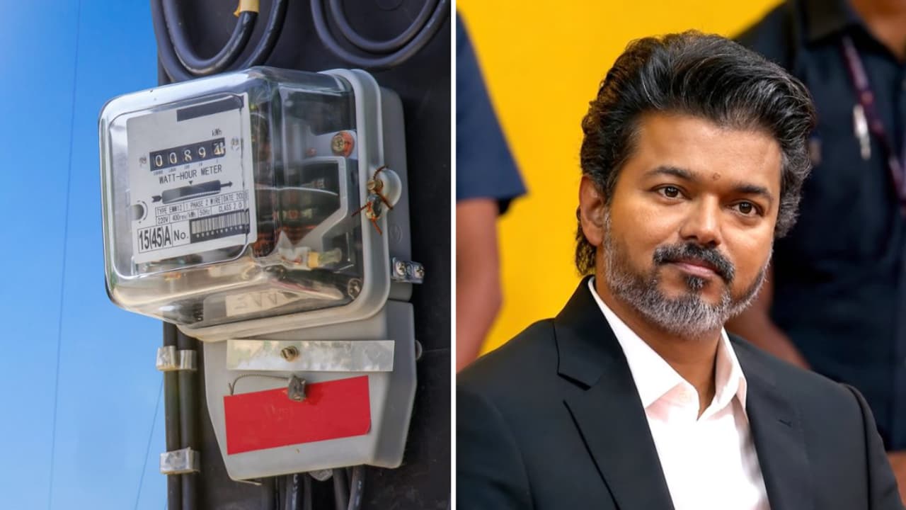 Free Electricity : 200 யூனிட் இலவச மின்சாரம்.. கண்டிஷன் போட்ட முதல்வர் விஜய்.. யாருக்கெல்லாம் இலவசம் தெரியுமா?