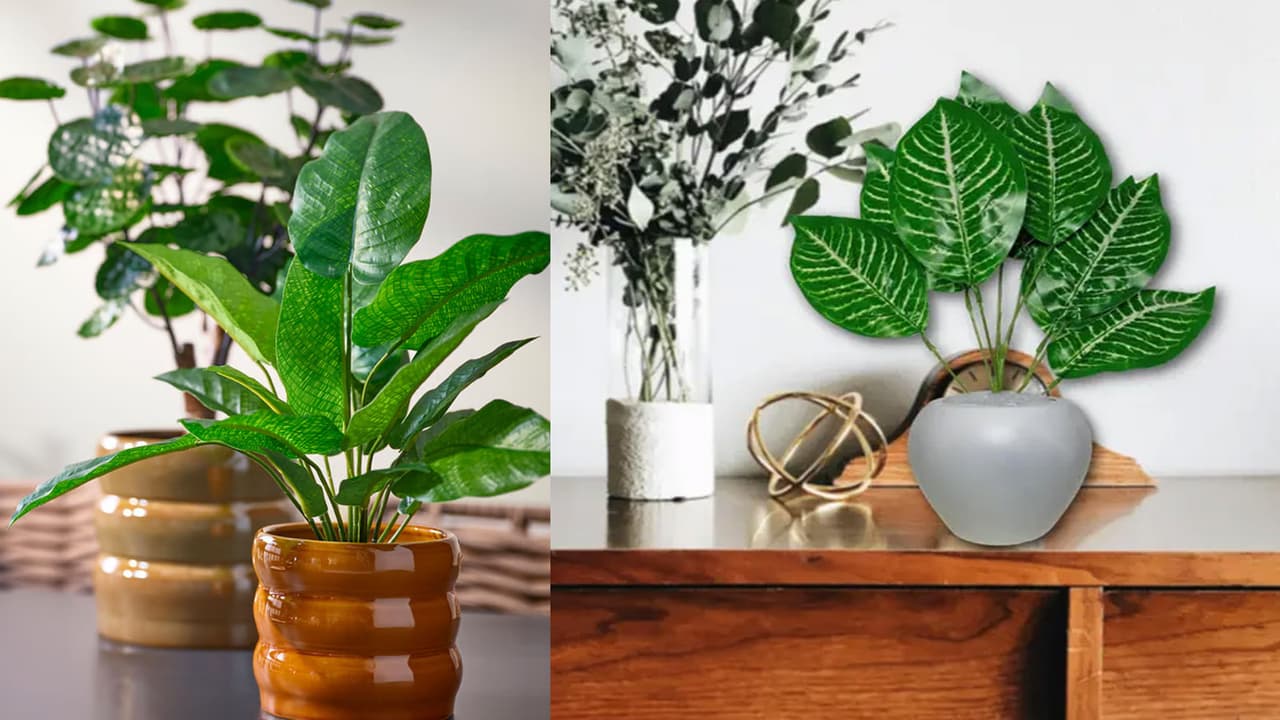 Artificial Plants: 5 Decorative Greens for a Fresh, Effortless Home Look! Read On
