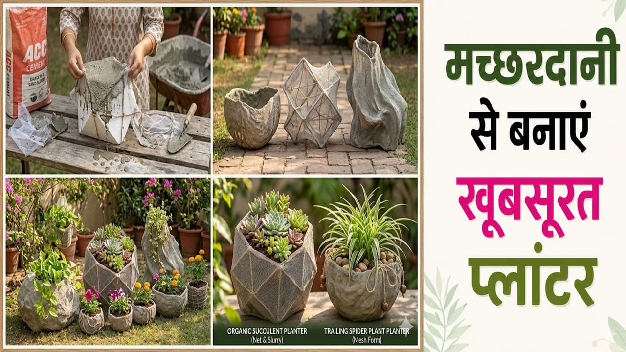 DiY Mosquito Net Planter: मच्छरदानी हो गई बेकार, तो बनाएं ये 6 क्यूट ...