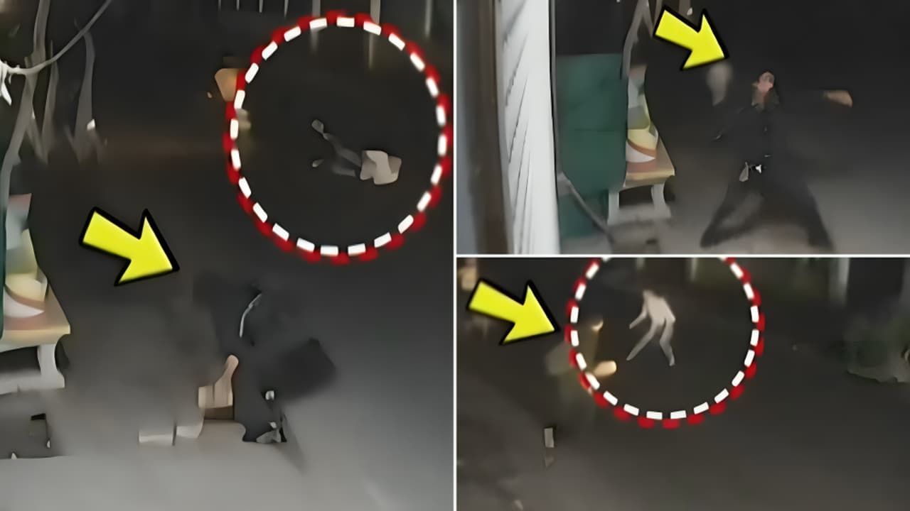 Pathankot Man Fights Back After Robbery, Knocks Down Bike-Borne Thieves With Brick (WATCH)