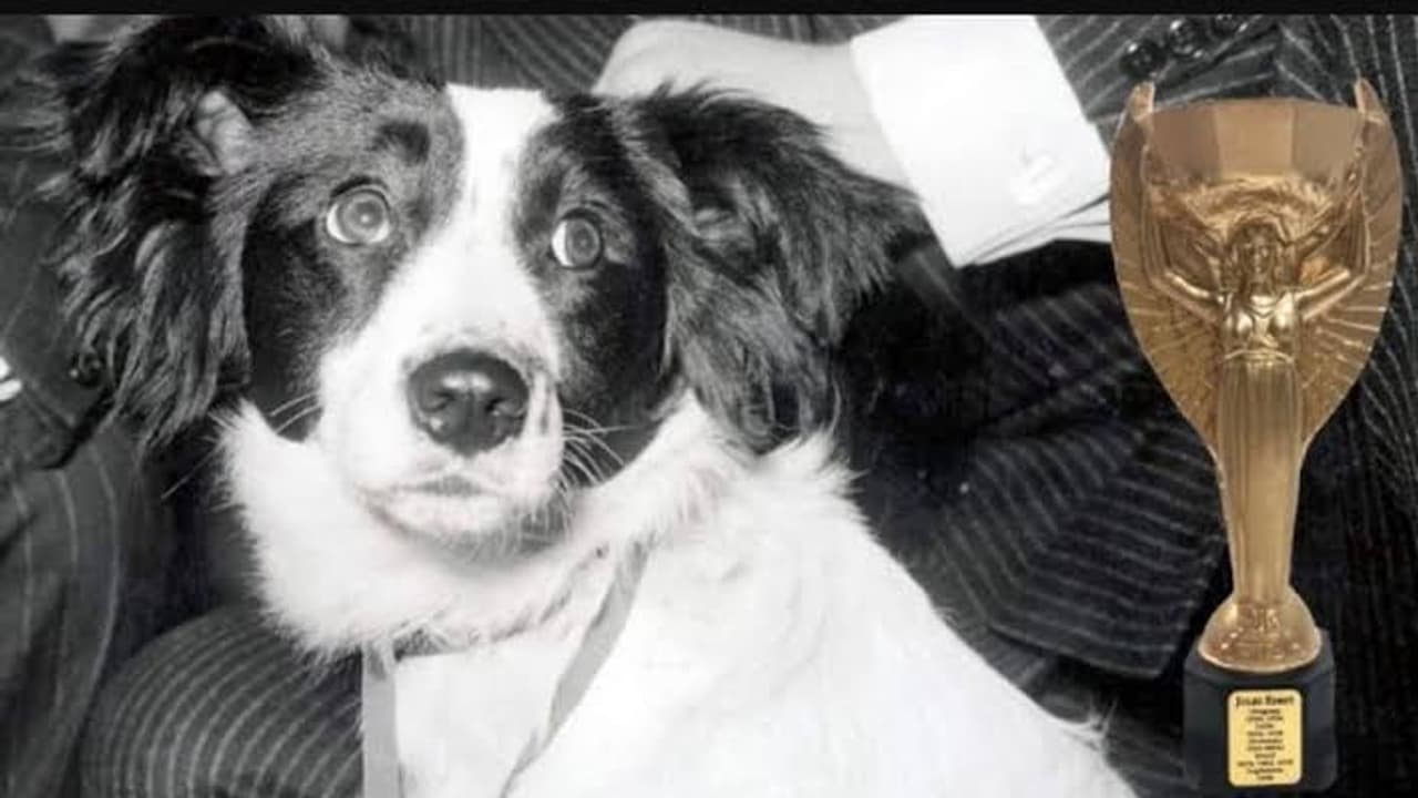 Pickles, the Hero: How a Dog Found Stolen 1966 FIFA World Cup Trophy – Greatest Football Rescue