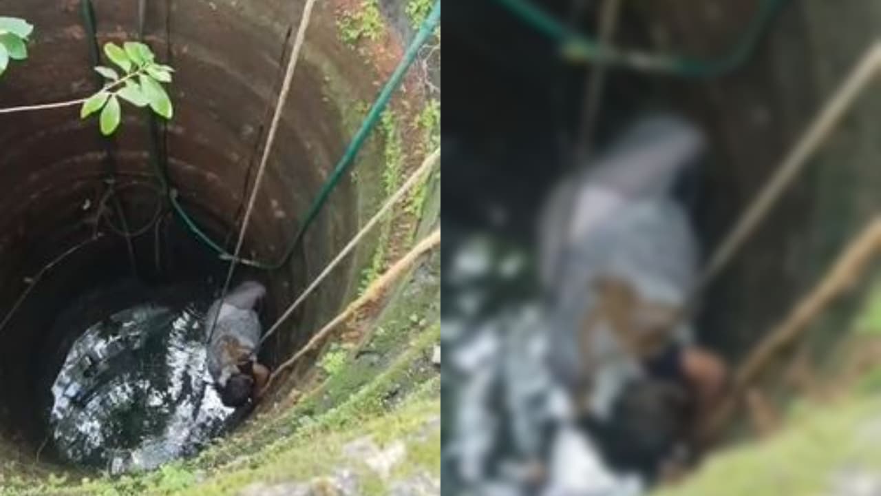 w-1280,h-720,format-jpg,imgid-01ktgv7jz8d8p4dnm5vzcj1yhq,imgname-woman-died-after-fell-into-deep-well-1780829375464.jpg