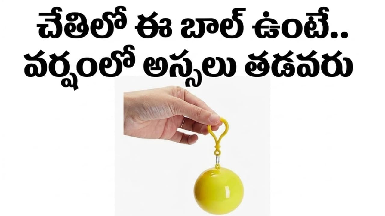 వర్షంలో బయటకు వెళ్తుంటారా.? ఈ బాల్ ఉంటే చాలు అస్స లు త డ వ రు