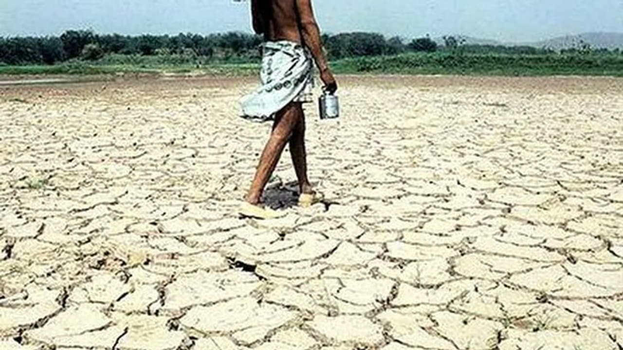 El Nino: भारत पर मंडराया बड़ा खतरा, IMD की डराने वाली भविष्यवाणी से टेंशन में किसान