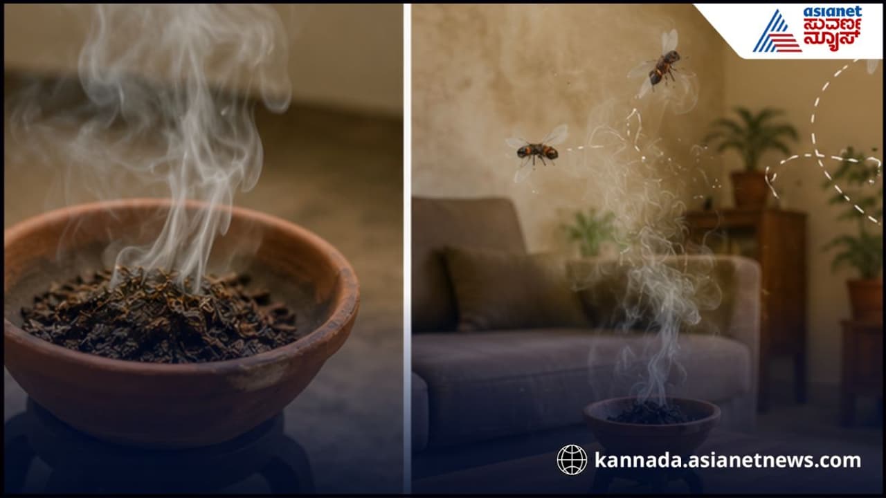 Kitchen: ವೇಸ್ಟ್ ಅಂತ ಚಹಾ ಪುಡಿ ಎಸೆಯೋರು ಇದನ್ನು ತಿಳಿಯಲೇಬೇಕು! ಅರಿತರೆ ಒಂದು ಚಮಚ ಪುಡಿಯನ್ನೂ ವೇಸ್ಟ್ ಮಾಡಲ್ಲ!
