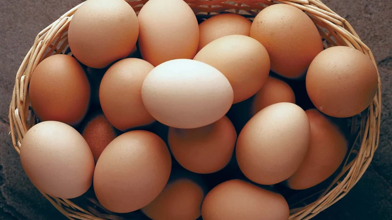 Egg Price Hike: ஒரு முட்டை ரூ.25? எத்தனால் தயாரிப்பால் முட்டை விலை ராக்கெட் வேகத்தில் உயர்வது ஏன்?