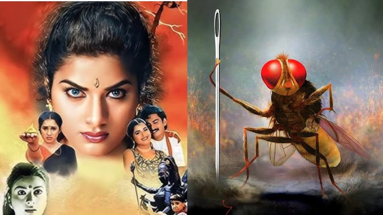 ఇప్పుడు కనుక రిలీజై ఉంటే ఈ సినిమాలకు 1000 కోట్లు పక్కా.. జనాలు మరిచిపోయిన ఆ నటి మూవీ